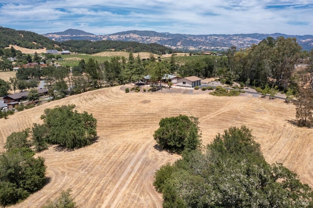 birds eye view of property with a mountain view and a rural view