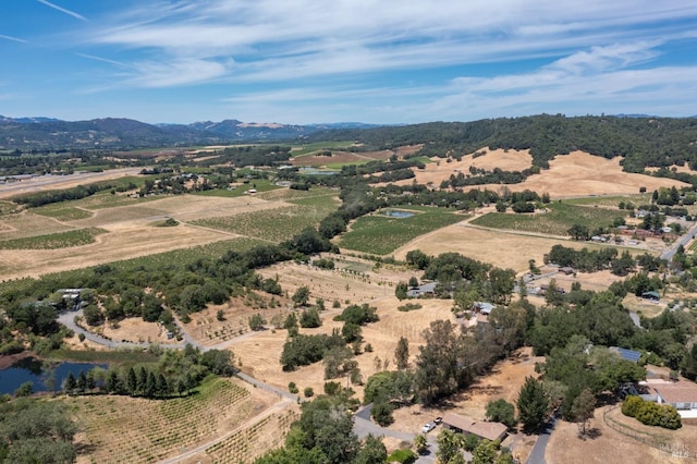 birds eye view of property with a mountain view and a rural view