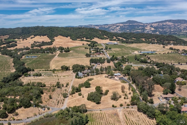 drone / aerial view with a mountain view and a rural view