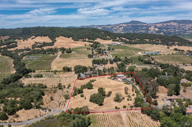 bird's eye view featuring a mountain view and a rural view