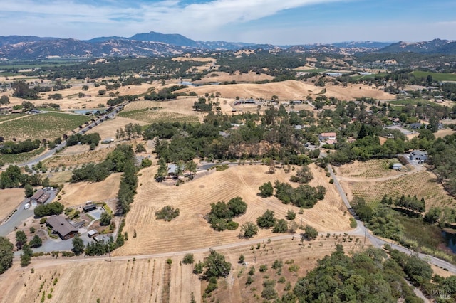 aerial view with a mountain view and a rural view