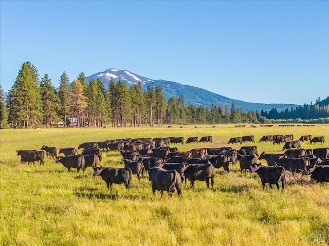 property view of mountains with a rural view