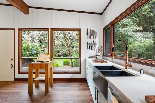 kitchen featuring ornamental molding, wood walls, sink, and dark hardwood / wood-style flooring