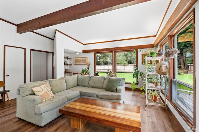 living room featuring crown molding, beam ceiling, and dark hardwood / wood-style floors