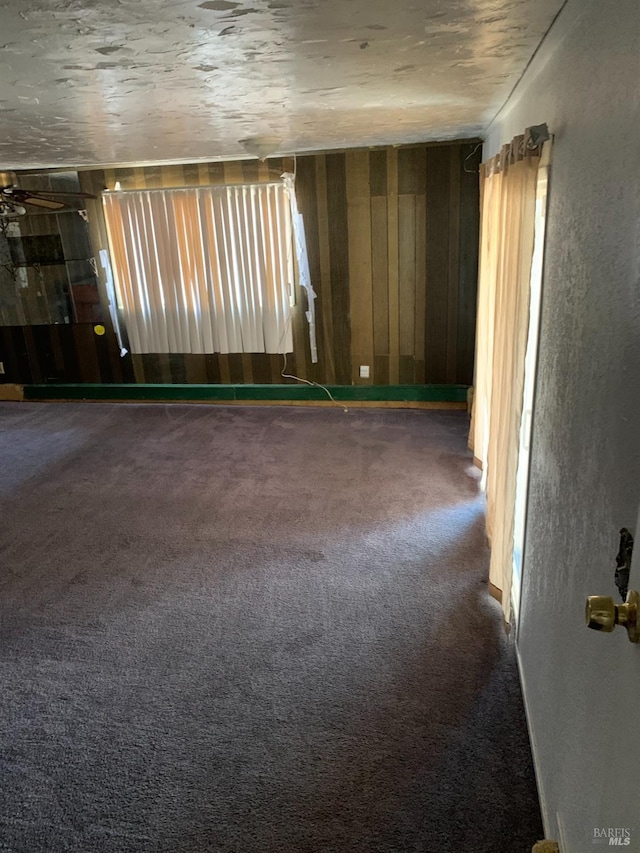 carpeted spare room featuring a healthy amount of sunlight