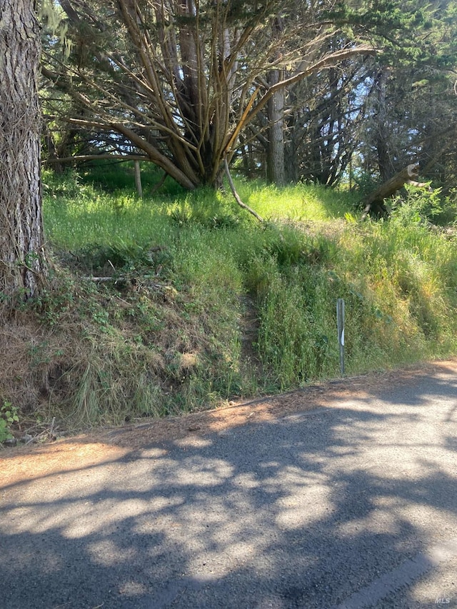 0 Alder Rd, Bolinas CA, 94924 land for sale