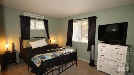 bedroom with carpet floors