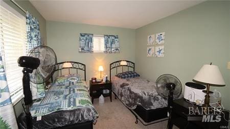 carpeted bedroom featuring multiple windows