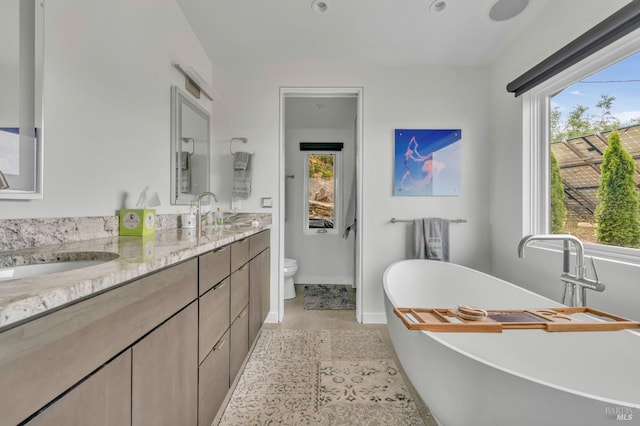 bathroom with vanity, a washtub, and toilet