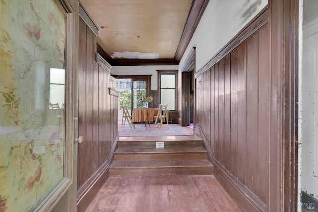 hallway with wooden walls, crown molding, and hardwood / wood-style floors