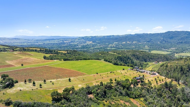 drone / aerial view with a mountain view and a rural view