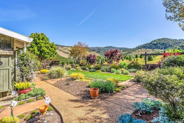 view of yard featuring a mountain view