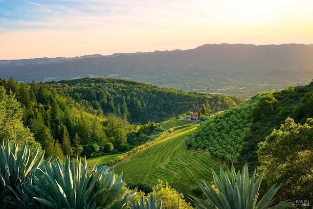 property view of mountains