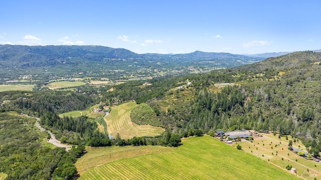 aerial view with a mountain view and a rural view