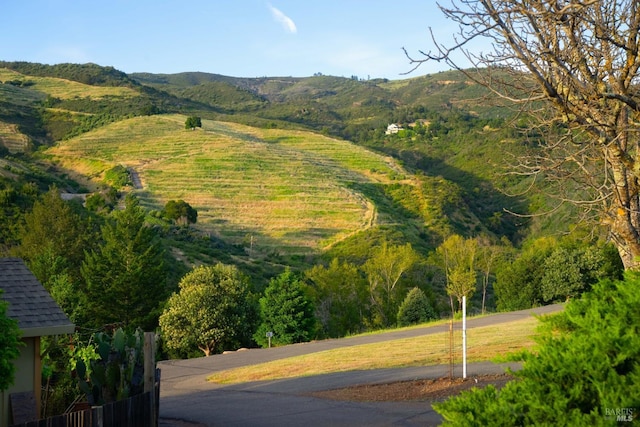 mountain view