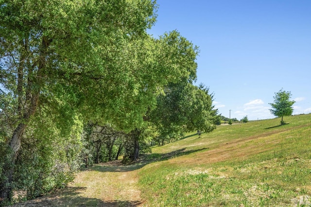 view of nature with a rural view