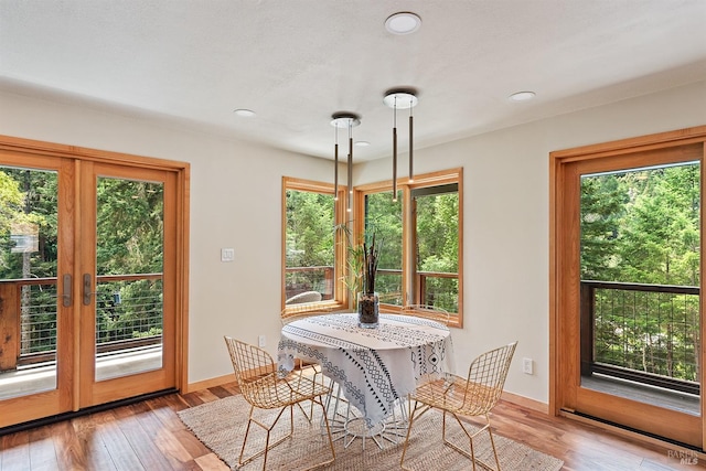 dining room featuring a wealth of natural light, light hardwood / wood-style flooring, and french doors