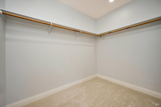 spacious closet with carpet