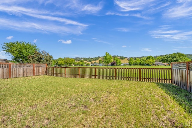 view of yard