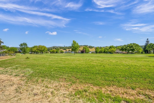 view of yard featuring a rural view