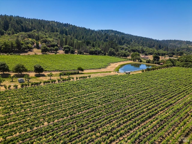 birds eye view of property featuring a rural view and a water view