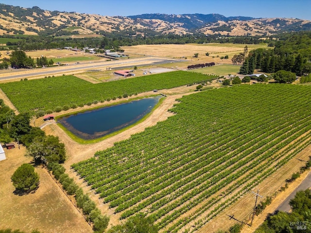 bird's eye view with a water and mountain view and a rural view