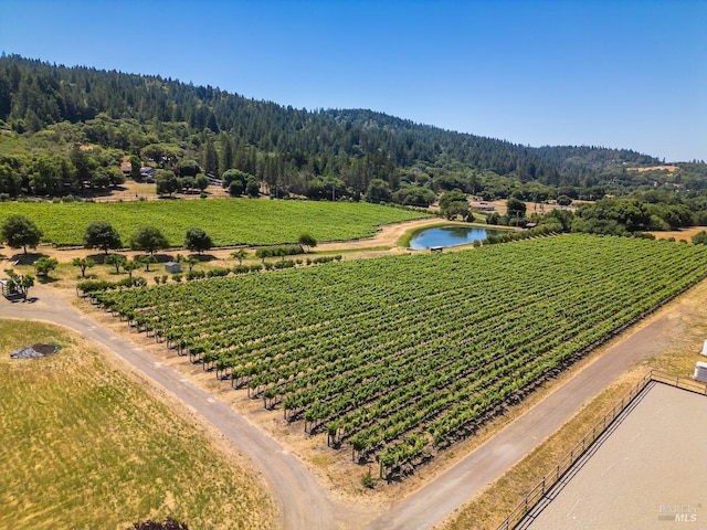 aerial view featuring a rural view and a water view