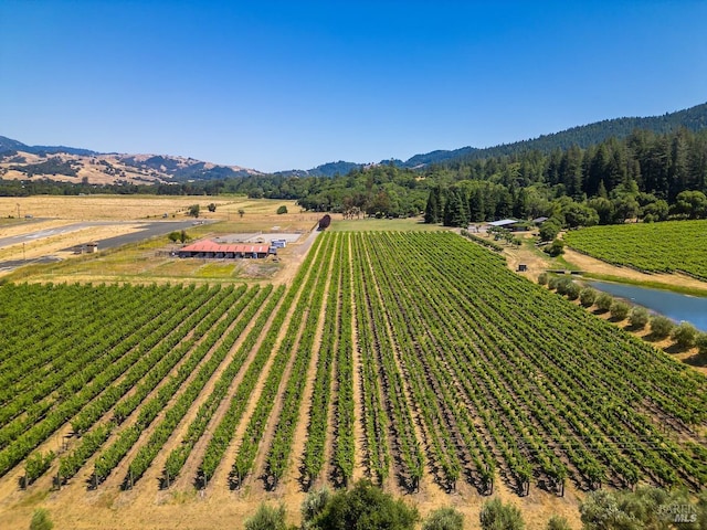 drone / aerial view with a mountain view and a rural view