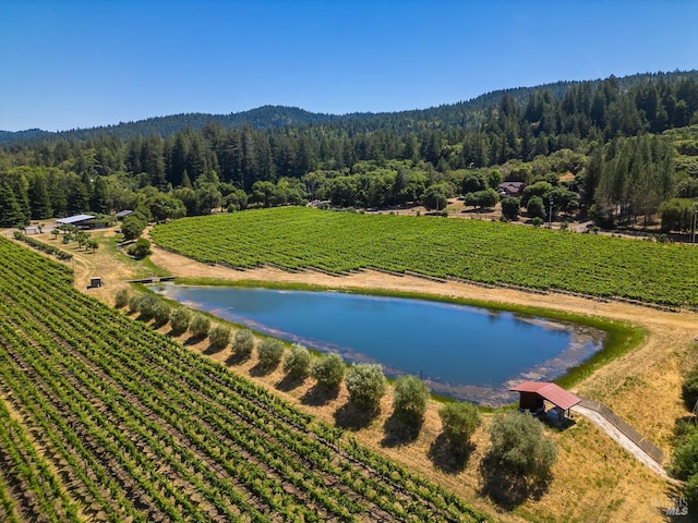 drone / aerial view with a water view and a rural view