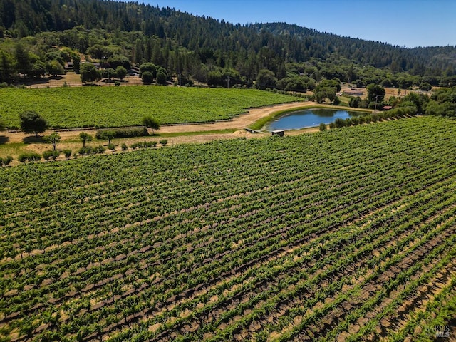 drone / aerial view with a rural view and a water view