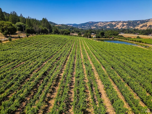 view of yard featuring a rural view and a water and mountain view