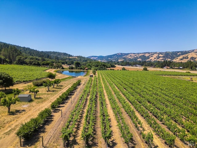 birds eye view of property with a water and mountain view and a rural view