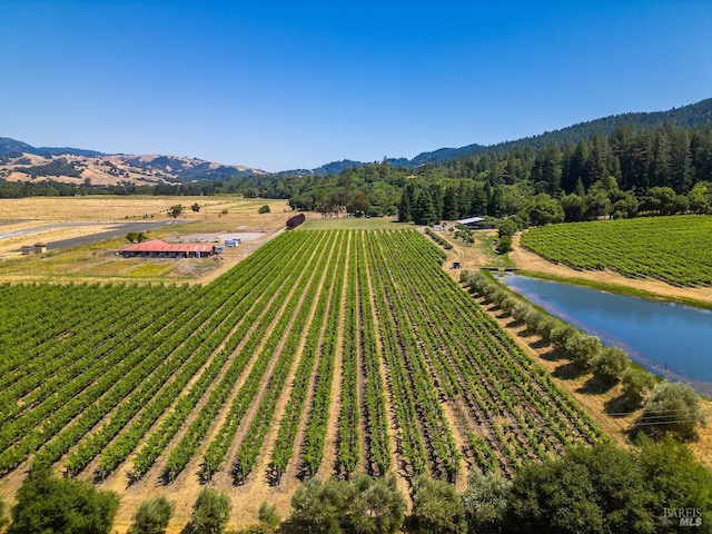 bird's eye view with a water and mountain view and a rural view