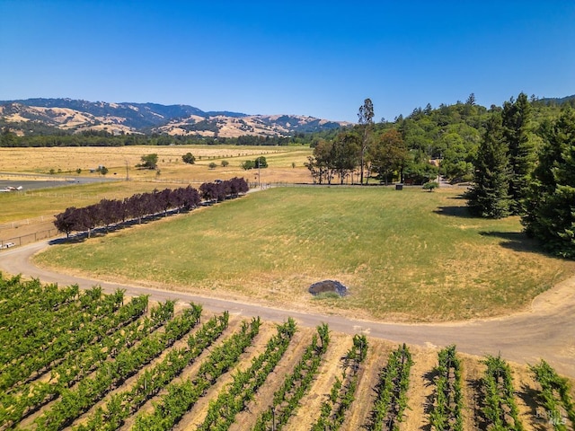 bird's eye view featuring a mountain view and a rural view