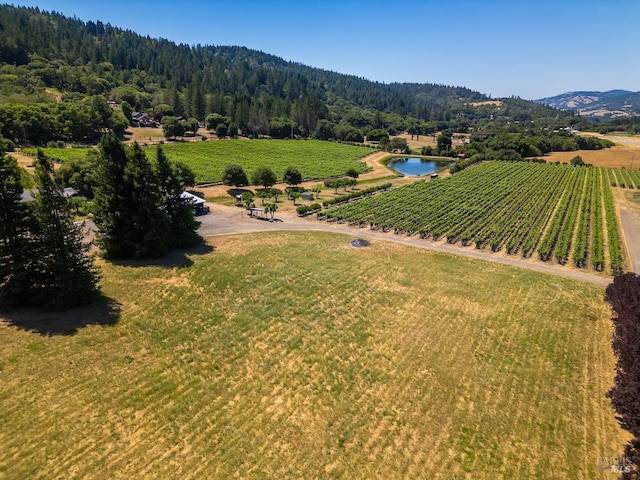 birds eye view of property with a water and mountain view and a rural view