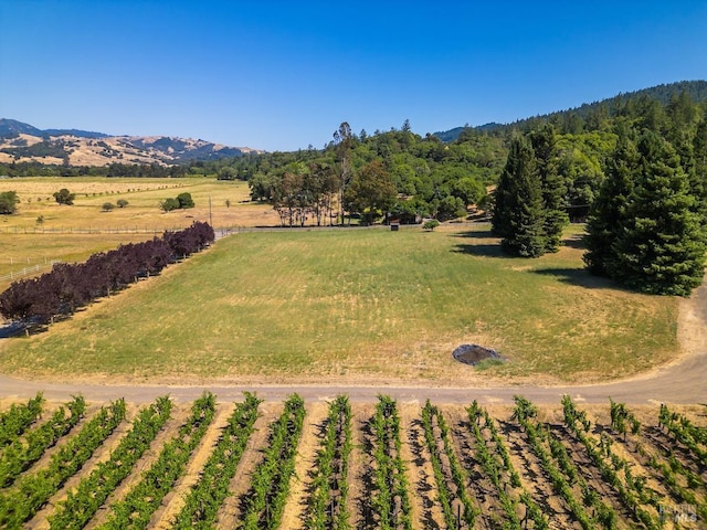 birds eye view of property with a mountain view and a rural view