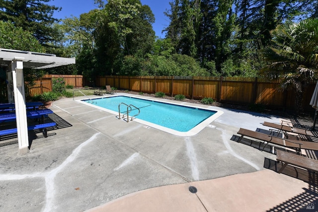 view of swimming pool featuring a patio