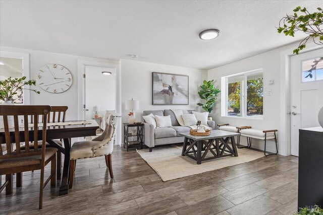 living room with dark hardwood / wood-style flooring and a textured ceiling