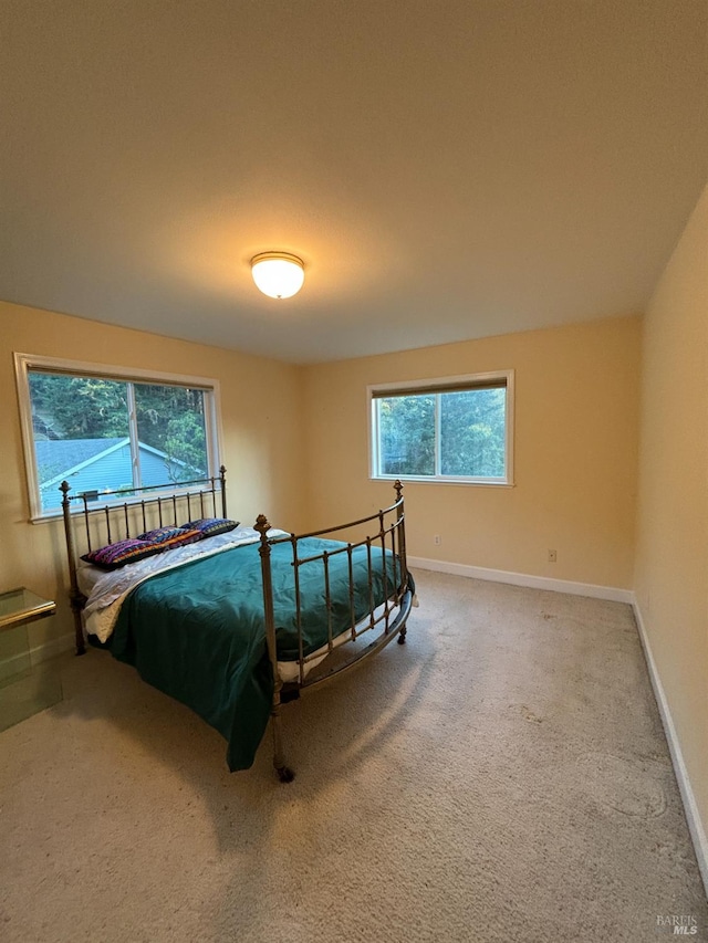 bedroom featuring multiple windows and carpet flooring