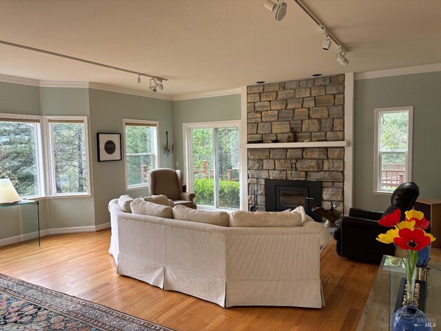 living room with a stone fireplace, rail lighting, wood-type flooring, and a healthy amount of sunlight