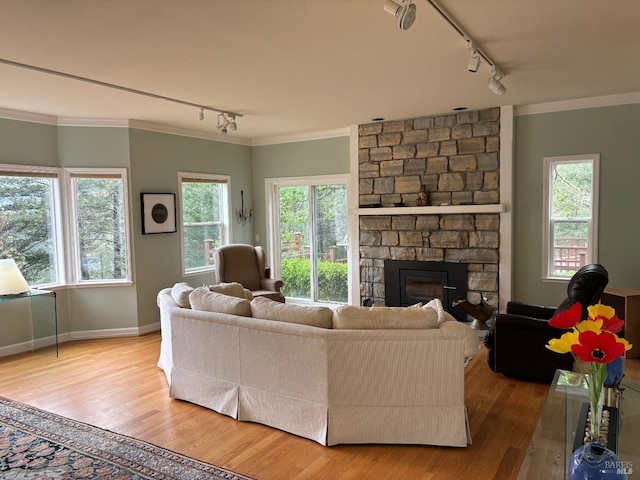 living area with light wood-style floors, a fireplace, and crown molding