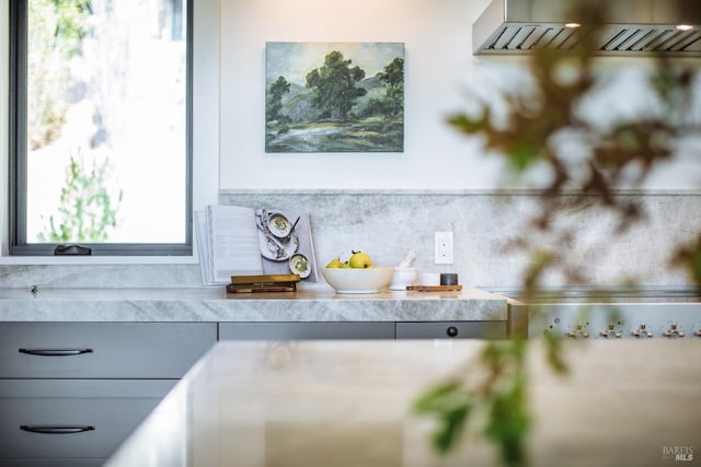 kitchen featuring gray cabinetry and dark hardwood / wood-style flooring