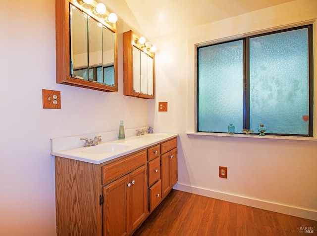 bathroom featuring hardwood / wood-style floors and vanity