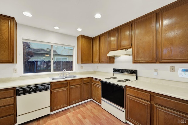 kitchen featuring light hardwood / wood-style floors, white appliances, and sink