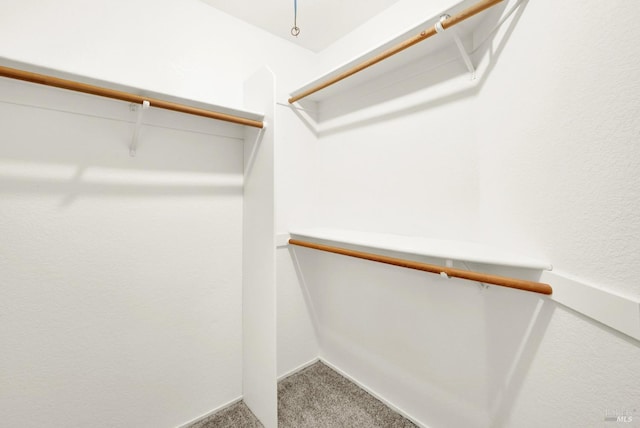 spacious closet featuring carpet floors