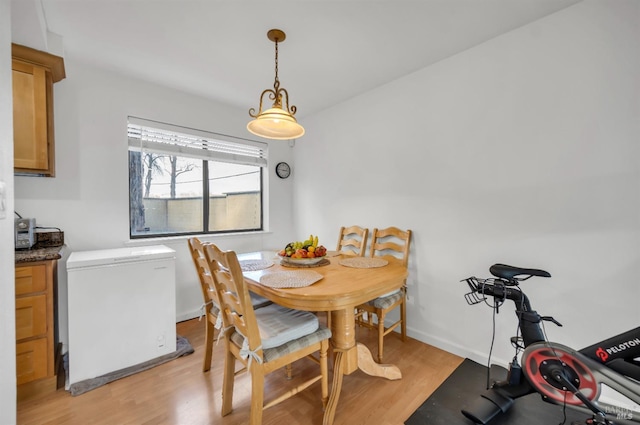 dining room with light hardwood / wood-style flooring