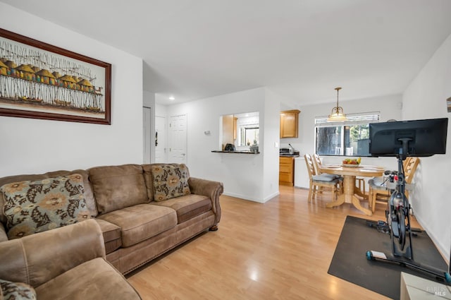 living room with light wood-type flooring