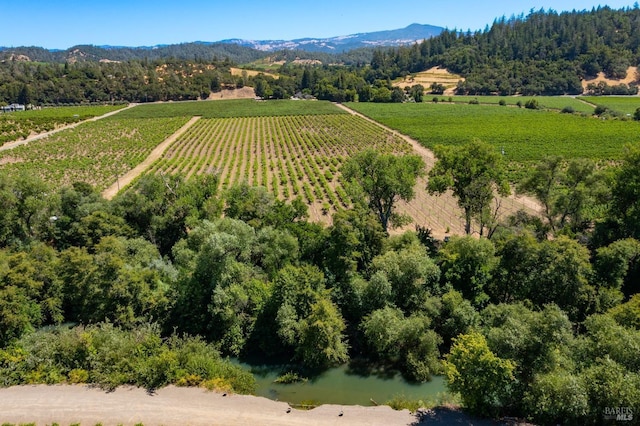 aerial view featuring a water and mountain view and a rural view