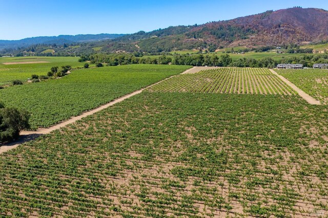 bird's eye view featuring a mountain view and a rural view