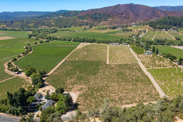 bird's eye view with a mountain view and a rural view